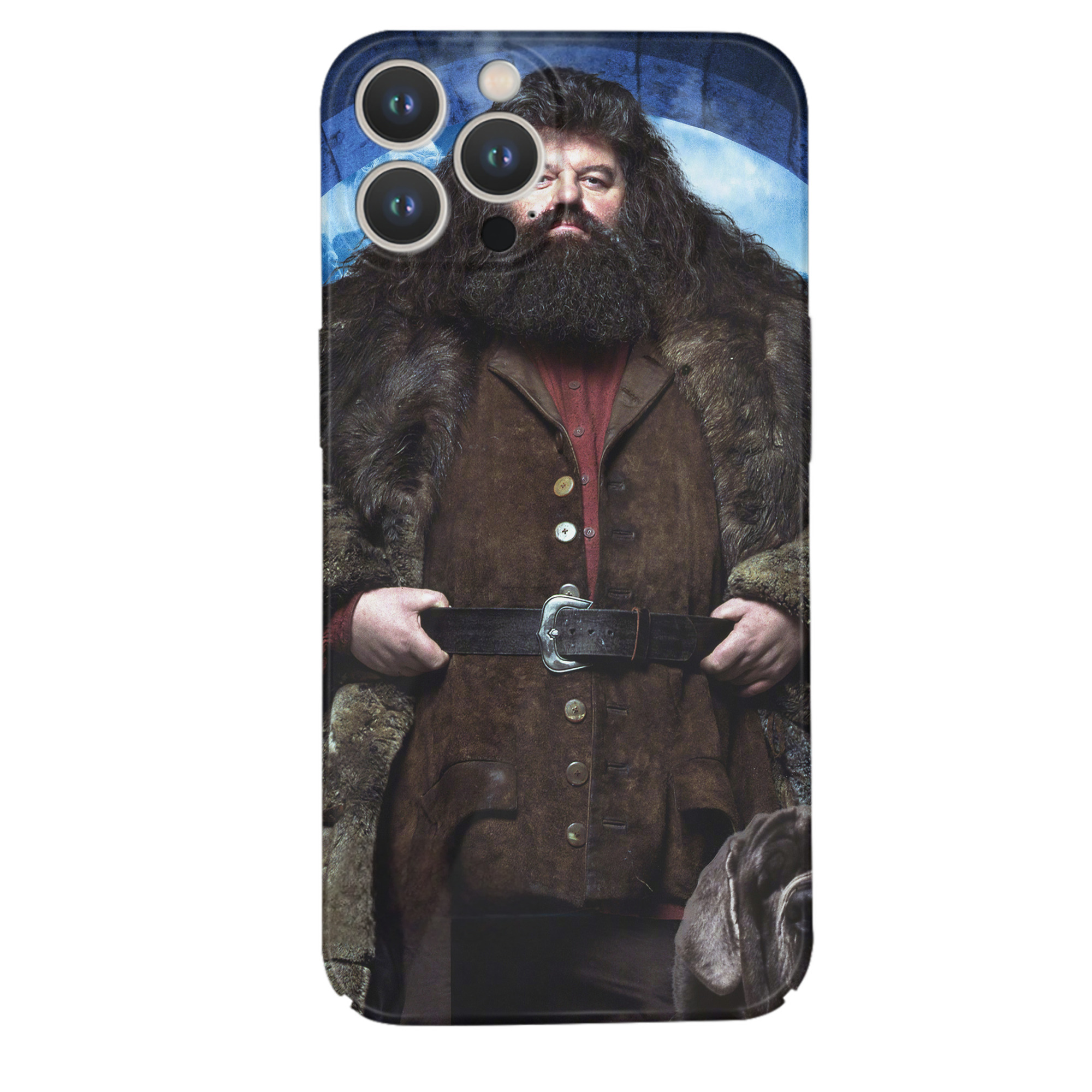 （画像用） Harry Potter ハリー・ポッターシリーズ 【iPhone 14シリーズ対応】ハードケース